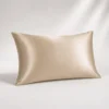 Champagne Ovio Mulberry Silk Pillowcase on a warm neutral studio background
